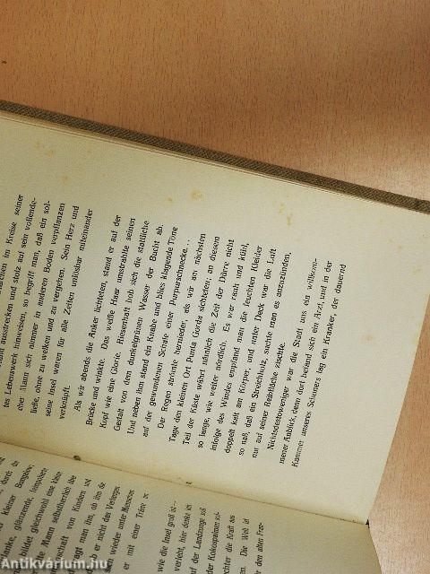 Zwischen zwei Kontinenten