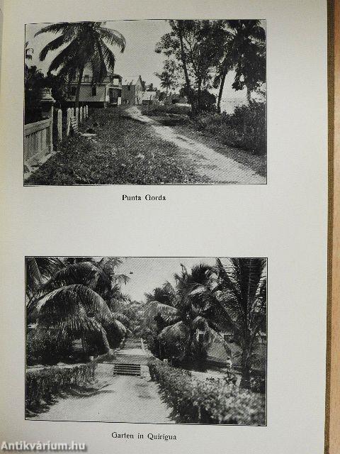 Zwischen zwei Kontinenten