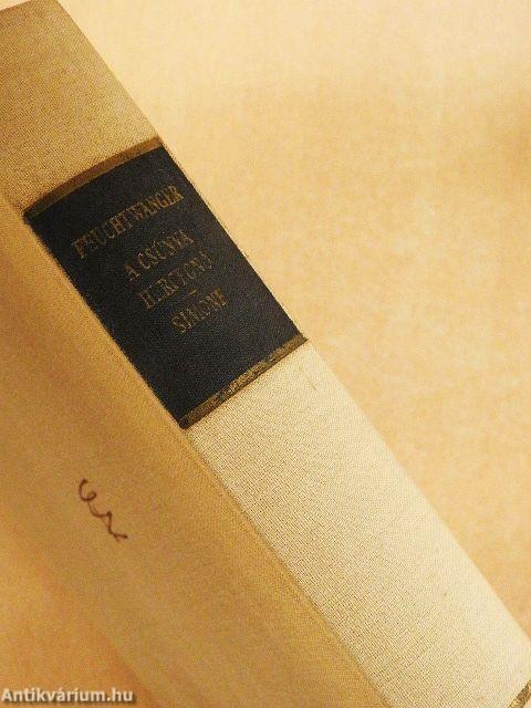 A csúnya hercegnő/Simone