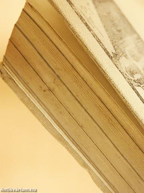 Téboly/terápia/stigma