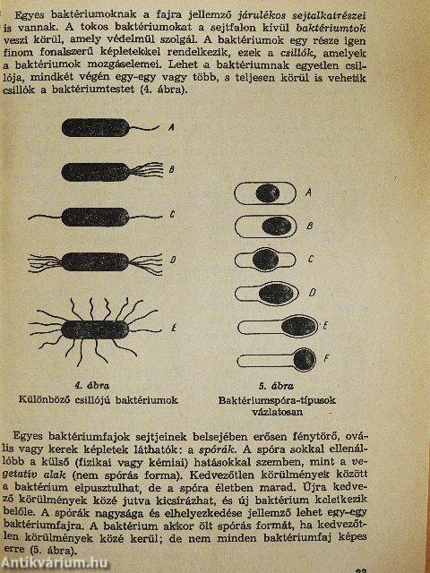 Mikrobiológia-Járványtan