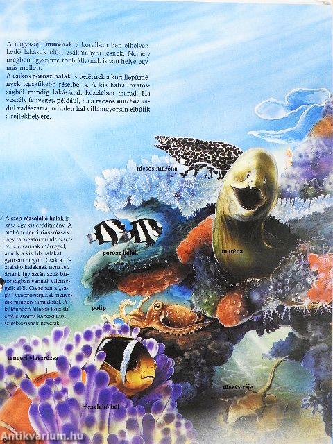 Hol laknak az állatok?