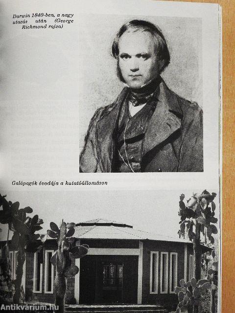 Galápagos, az elefántlábúak szigetei