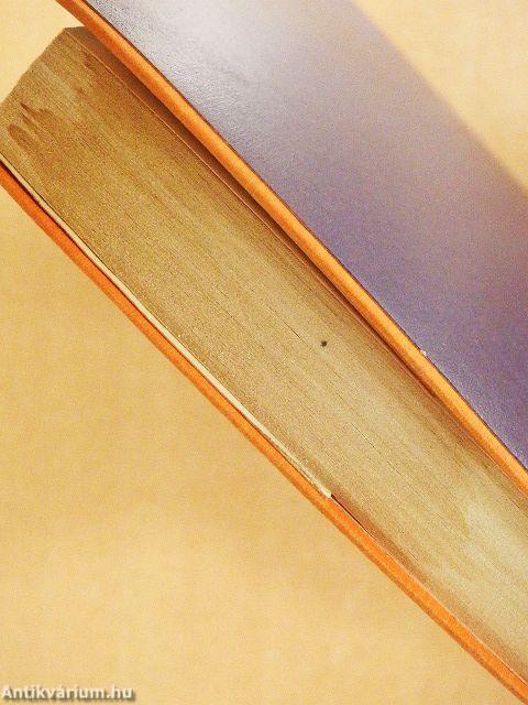 Egy bizonyos Remény utca