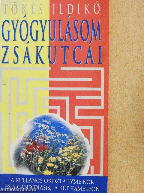 Gyógyulásom zsákutcái