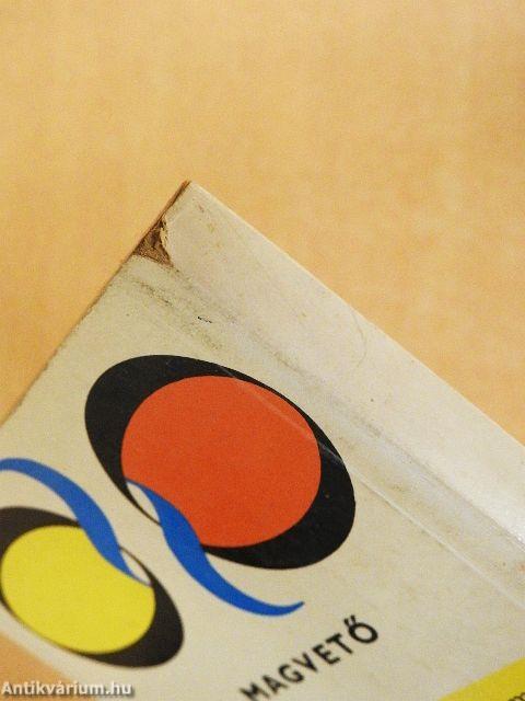 Avantgarde vagy realizmus?