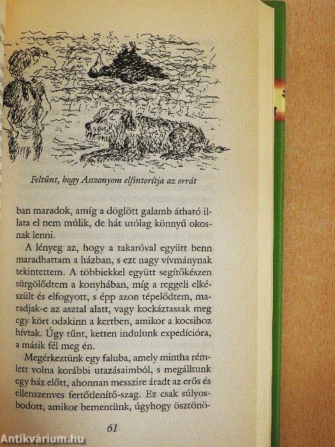 Érték a társadalomtudományban