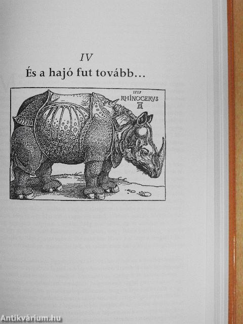 A pápa rinocérosza