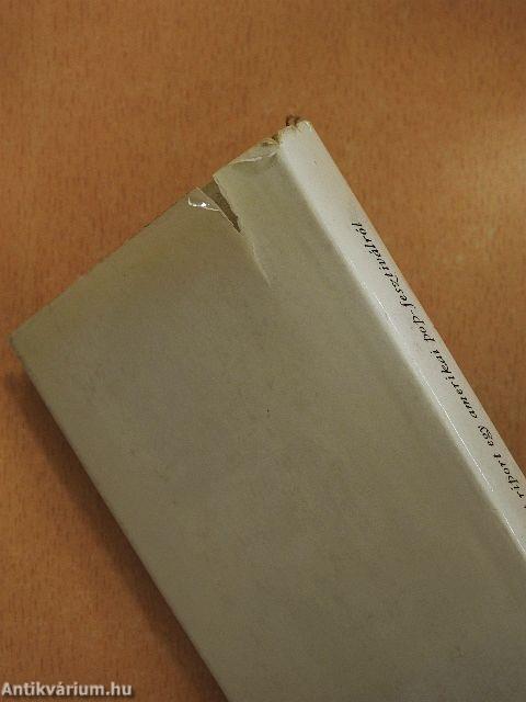 Képzelt riport egy amerikai pop-fesztiválról