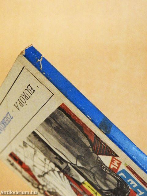 Az esküvői vendég