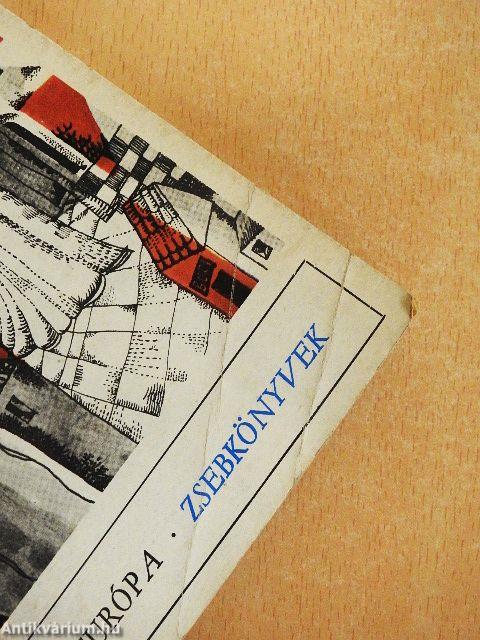 Az esküvői vendég