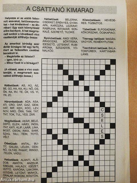 Nagy rejtvénykönyv 13.