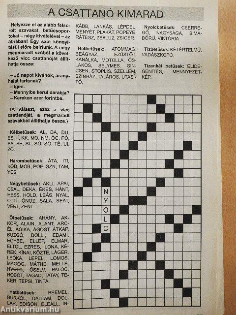 Nagy rejtvénykönyv 13.