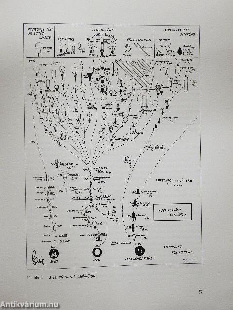Az Ajkai Erőmű története