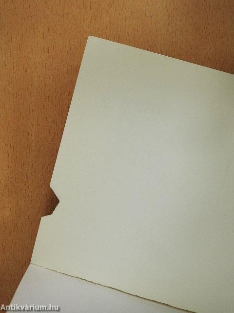 A csitári hegyek alatt