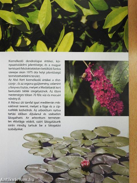 Újbuda. Természetesen!