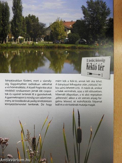 Újbuda. Természetesen!