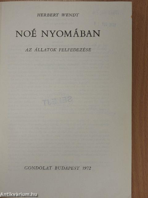 Noé nyomában