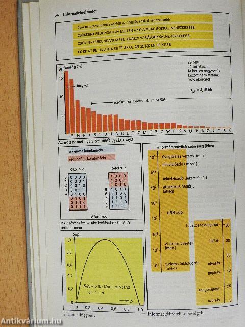 Informatika