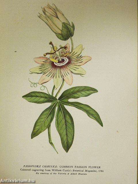 British Botanists