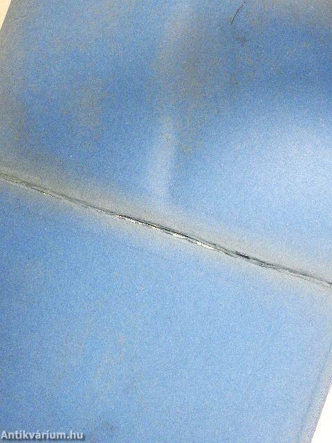 Das Evangelium des Reichtums und andere Zeit- und Streitfragen