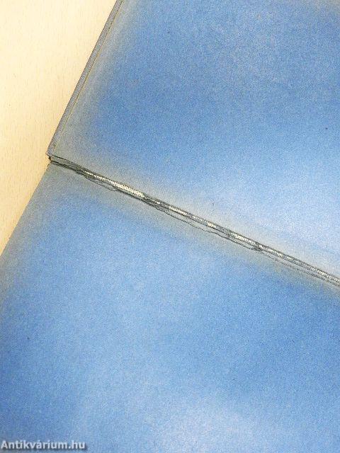 Das Evangelium des Reichtums und andere Zeit- und Streitfragen