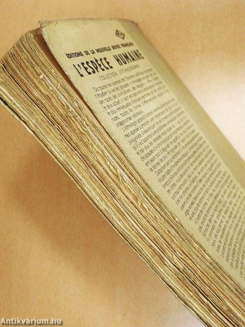 La Religion Primitive