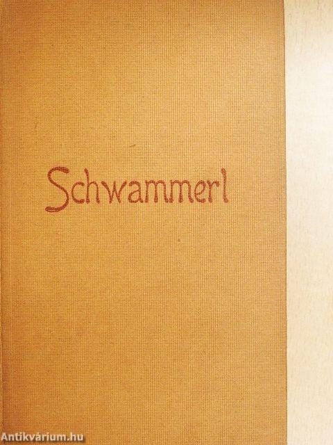 Schwammerl 