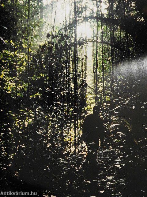 Jours de Chasse Hiver 2004