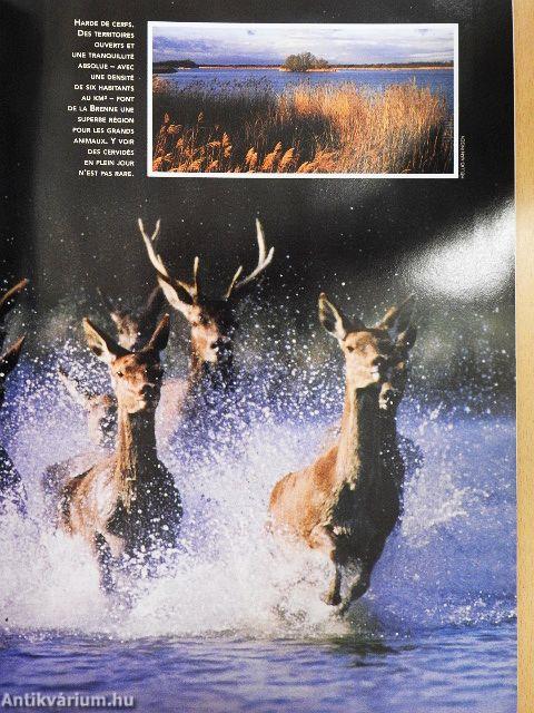 Jours de Chasse Automne 2001