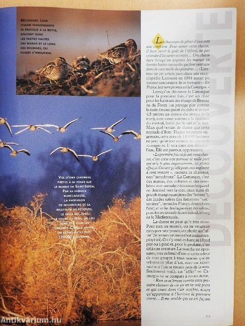 Jours de Chasse Automne 2000