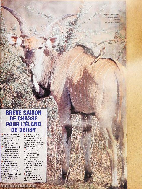 Chasser en... Afrique - Hors-série n. 19