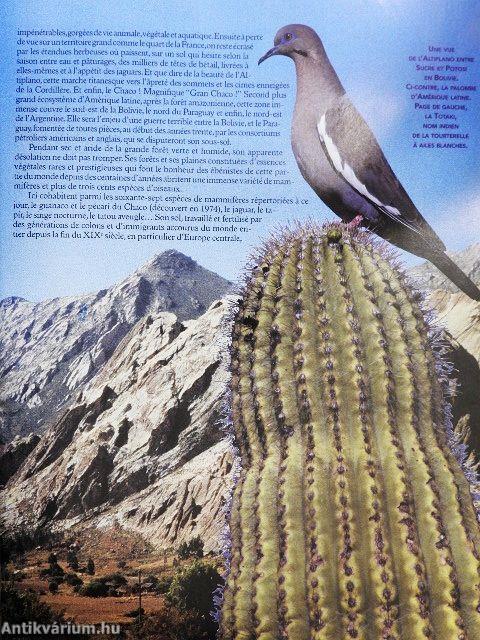 Jours de Chasse Automne 2002