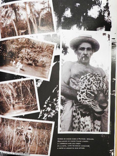 Jours de Chasse Printemps 2002