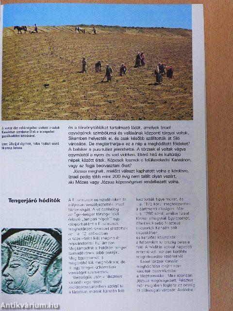 A Biblia világa