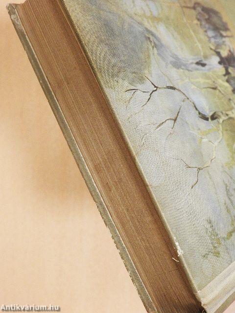 Az ősi szó nyomában...