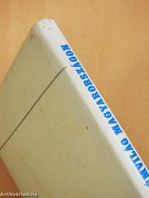 Kémvilág Magyarországon