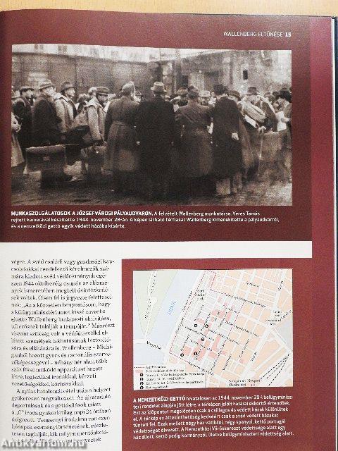 Wallenberg eltűnése