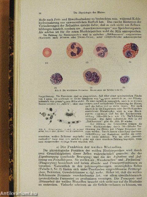 Einführung in die Physiologie des Menschen