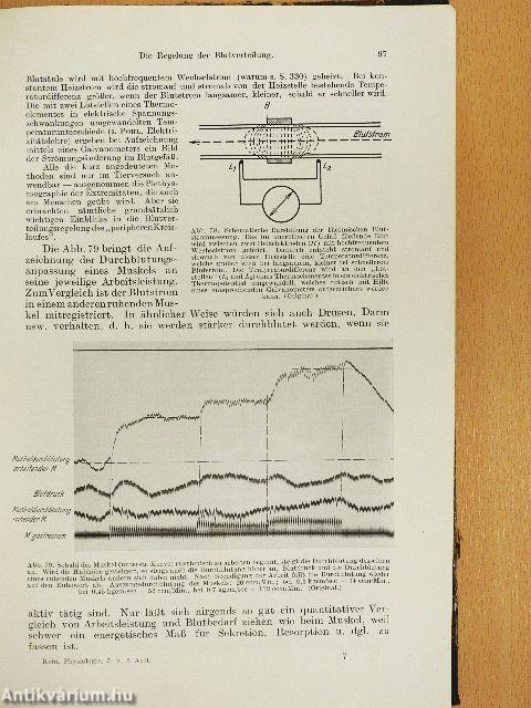 Einführung in die Physiologie des Menschen