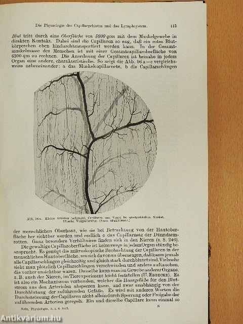 Einführung in die Physiologie des Menschen