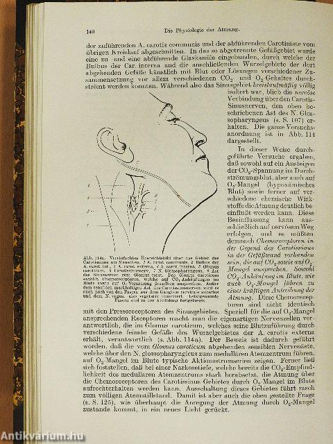 Einführung in die Physiologie des Menschen