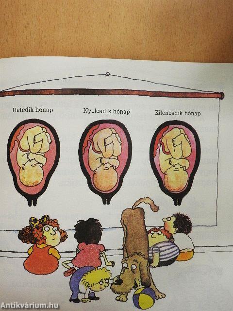 "Hogyan lesz a gyerek?"