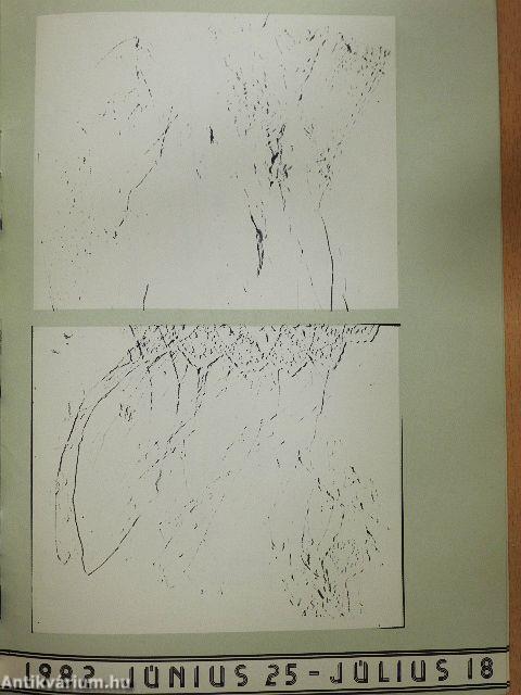 Polgár Ildikó kiállítása