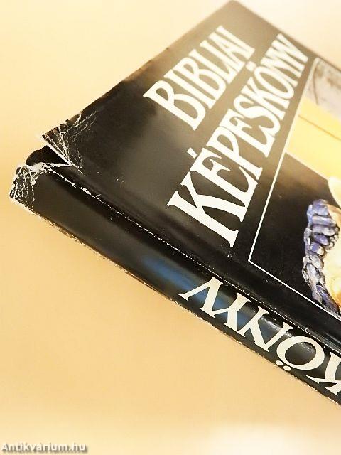 Bibliai képeskönyv