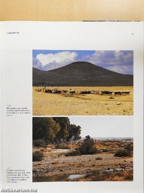 Bibliai képeskönyv