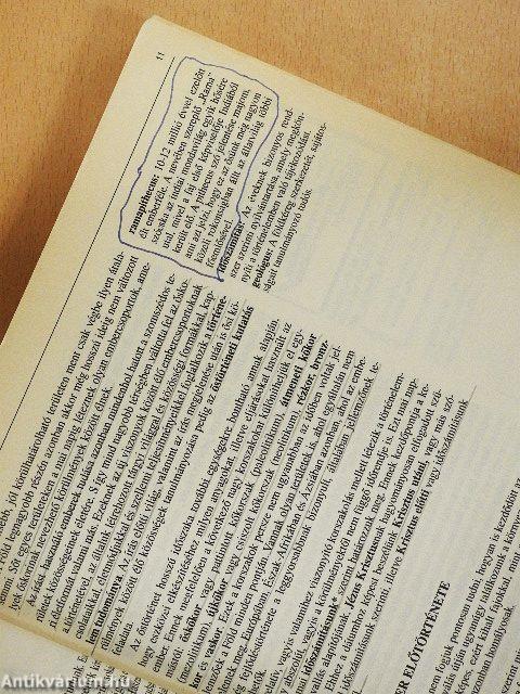 Őskor, ókori civilizációk 476-ig