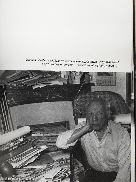 Barátom, Picasso