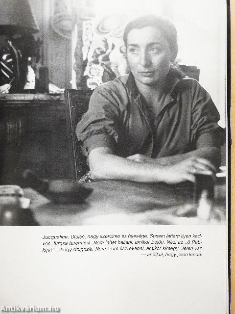 Barátom, Picasso