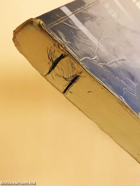 A globális világ felé